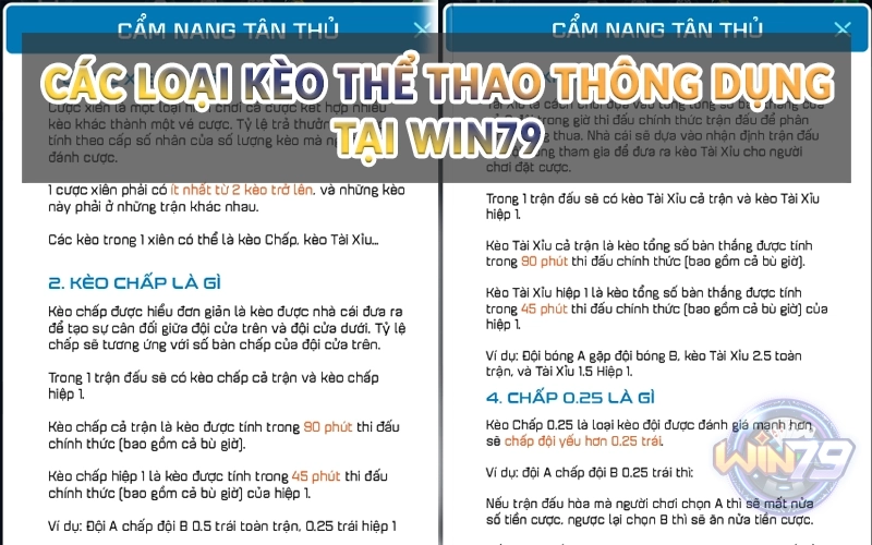 Các loại kèo Thể Thao thông dụng tại Win79